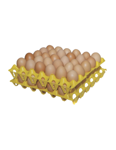 CHAROLA DE PLASTICO PARA HUEVO